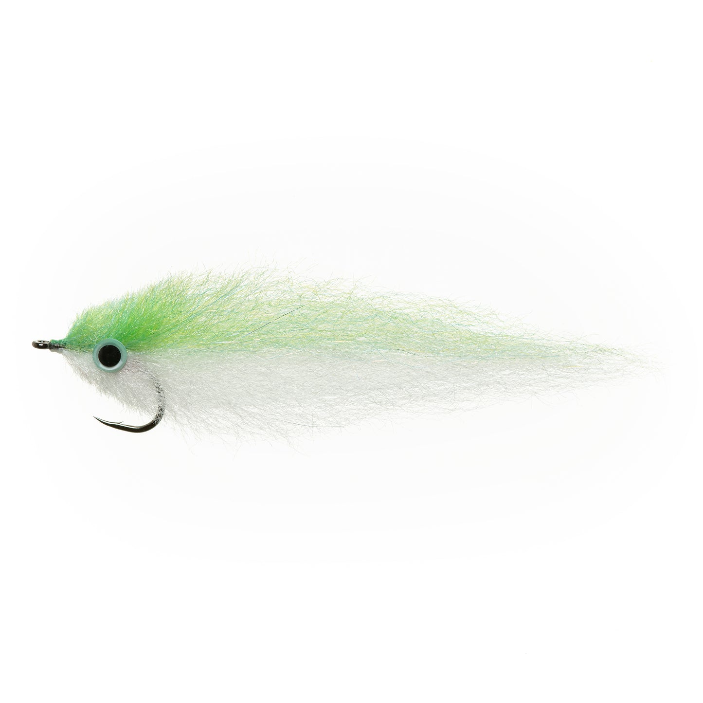 Anchovy