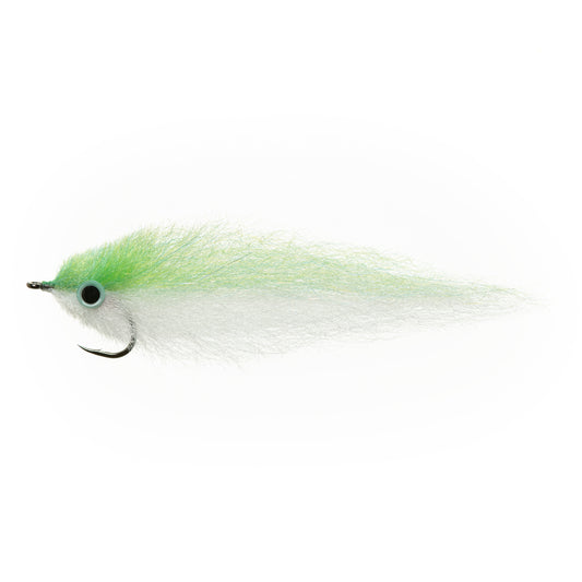 Anchovy