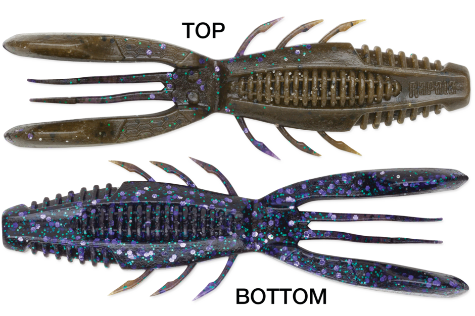 Rapala Crush City Bronco Bug