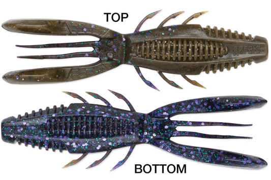 Rapala Crush City Bronco Bug